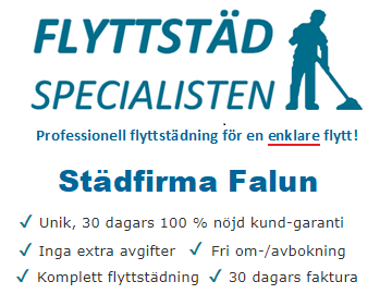 Städfirma Falun